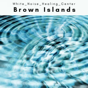 1001 Brown Islands - White Noise Healing Center