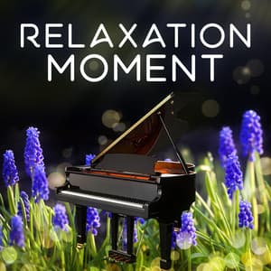 Relaxation Moment – Music for Relax, Peaceful Meditation, Classical Chillout - Classical Sleep Music