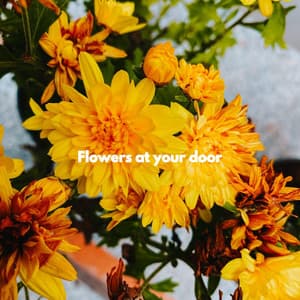 Flowers at your door - Cafe de Musica Instrumental