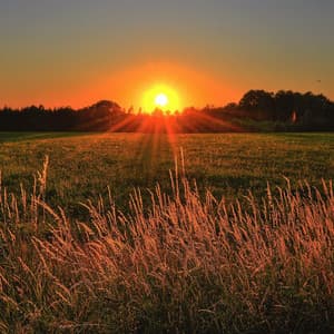 Chill Relaxing Noise to Sleep - Fans & White Noise