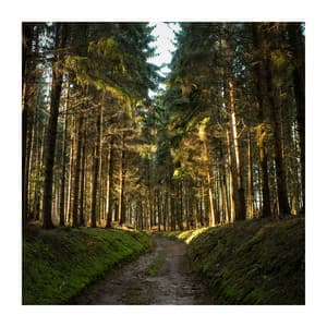 Magical Feelings - Just Breathe Meditation