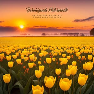 Beruhigende Naturmusik - Natürliche Musik mit summenden Insekten - Erste Genesis