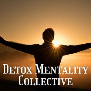 Detox Mentality Collective - White Noise Meditation