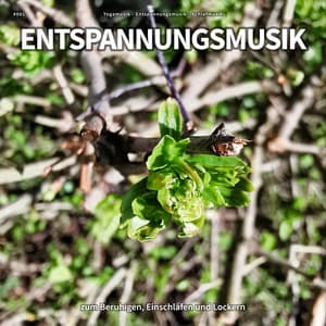 #001 Entspannungsmusik zum Beruhigen, Einschlafen und Lockern - Yogamusik