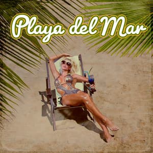 Playa del Mar: Relaxing House, Summer Cocktail Bar Music, Lounge Café and Chill Out - DJ Tzi-tzi