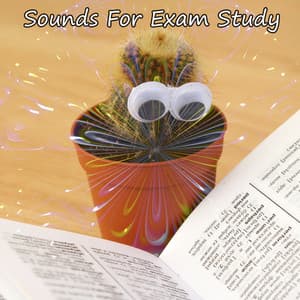 Sounds For Exam Study - White Noise Research