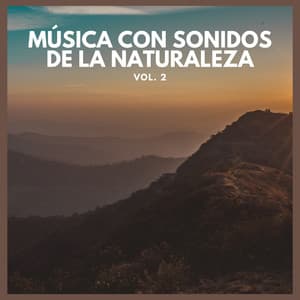 Música con Sonidos de La Naturaleza Vol. 2 - Lluvia Del Bosque