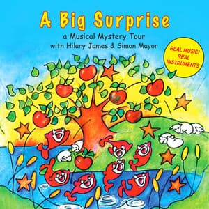 A Big Surprise - Hilary James
