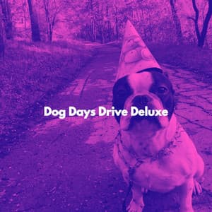 Dog Days Drive Deluxe - Japan Cafe BGM