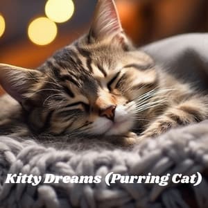 Kitty Dreams : Relaxing Sleep Therapy for Cats - Pet Music Academy