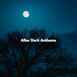 After Dark Anthems - Relax Chillout Lounge
