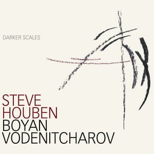 Darker Scales - Steve Houben