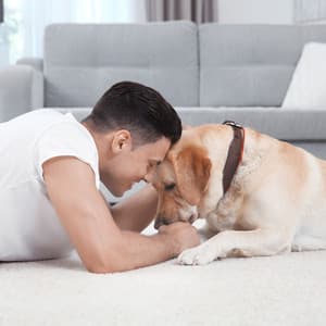 Piano Rain's Harmony: Pet Serenade for Companions - Tranquility Piano