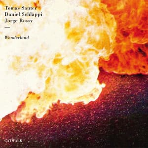 Wonderland - Tomas Sauter