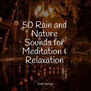 50 Rain and Nature Sounds for Meditation & Relaxation - Ambient Music Therapy
