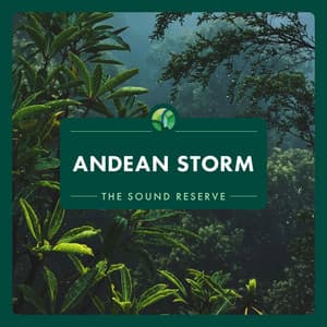 Andean Storm - The Sound Reserve