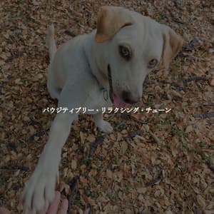 パウジティブリー・リラクシング・チューン - Music for Cooking