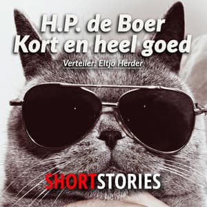 Kort en heel goed - Herman Pieter De Boer