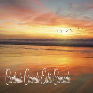 Continúa Cuando Estés Cansado - Sleepy Times