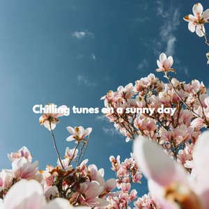 Chilling tunes on a sunny day - Musica para Hoteles