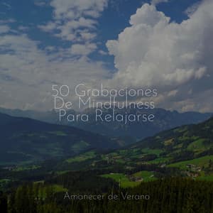 50 Grabaciones De Mindfulness Para Relajarse - Meditación Guiada