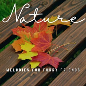 Paws of Peace: Melodies for Furry Friends - Pet Music World