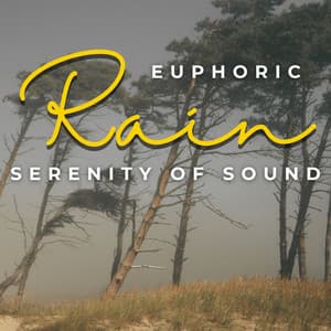 Euphoric Rain: Serenity in Sound - Rain and Nature