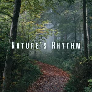 Nature's Rhythm: Ambient Sounds for Work and Inspiration - Work Music Universe