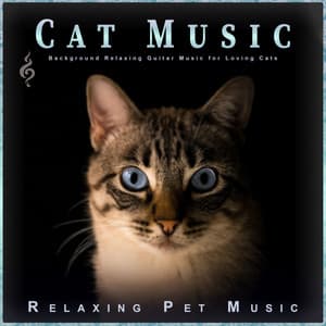 Cat Music: Background Relaxing Guitar Music for Loving Cats - Cat Music Experience