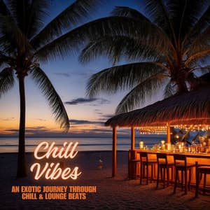 Chill Vibes: An Exotic Journey through Chill & Lounge Beats - Dance Fitness