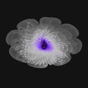 Awareness - Meditation Music