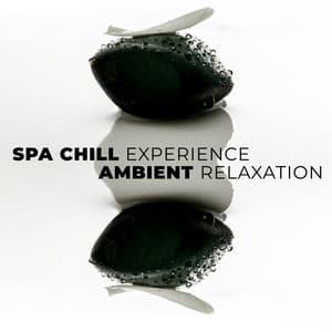 Spa Chill Experience - Ambient Relaxation, Tranquility Music Therapy for Massage, Wellness, Meditation - Spa Experience Chill