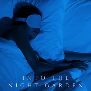 Into the Night Garden - Sleep Music Academy