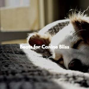 Beats for Canine Bliss - Jazz Lounge MIlano