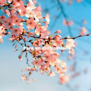 Para un día lluvioso - Smooth Jazz Bar Lounge Session