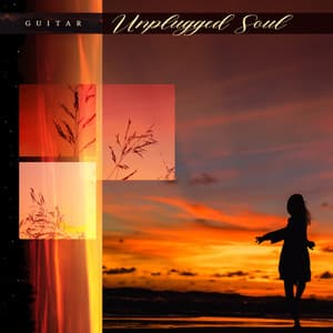 Unplugged Soul - Guitar