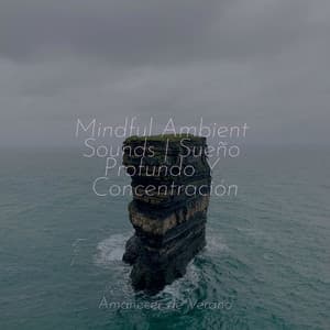 Mindful Ambient Sounds | Sueño Profundo Y Concentración - Musica para Meditar