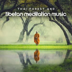 Thai Forest and Tibetan Meditation Music - Buddhist Meditation Temple