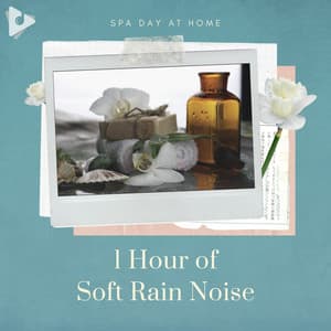 1 Hour of Soft Rain Noise - Spa Day At Home