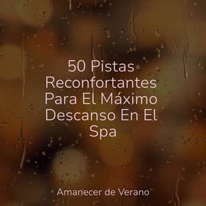 50 Pistas Reconfortantes Para El Máximo Descanso En El Spa - Musica para Meditar