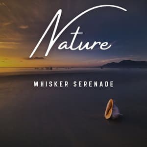 Whisker Serenade: Cat's Zen Garden - Galaxy River