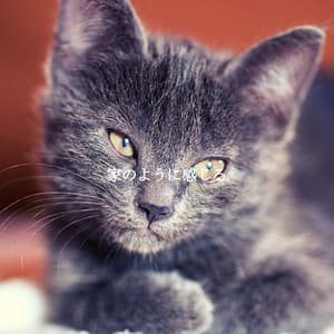 家のように感じる - Bebop Jazz