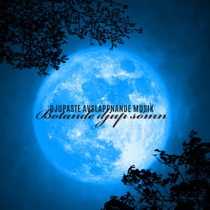 Djupaste avslappnande musik: Botande djup sömn - Andlig Musiksamling