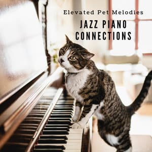 Elevated Pet Melodies: Jazz Piano Connections - Jazz Piano Instrumentals