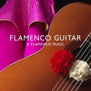 Flamenco Guitar & Flamenco Music: Spanish Guitar for Relaxation - Jazz Guitar Music Zone