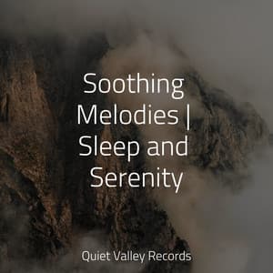 Soothing Melodies | Sleep and Serenity - Sleep Sound of Nature