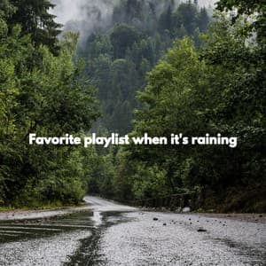 Favorite playlist when it's raining - Morning Calm Playlist