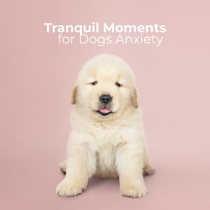 Tranquil Moments for Dogs Anxiety - Animal Melody Wizard