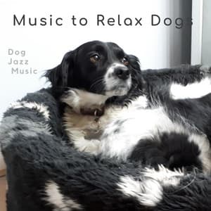 Dog Jazz Music - Music-to-Relax-Dogs
