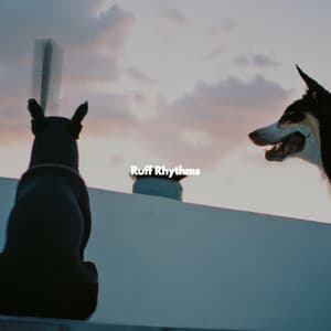 Ruff Rhythms - Relaxing BGM Project